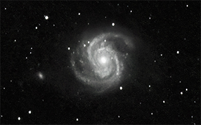 M100 - The Blowdryer Galaxy in Monochrome