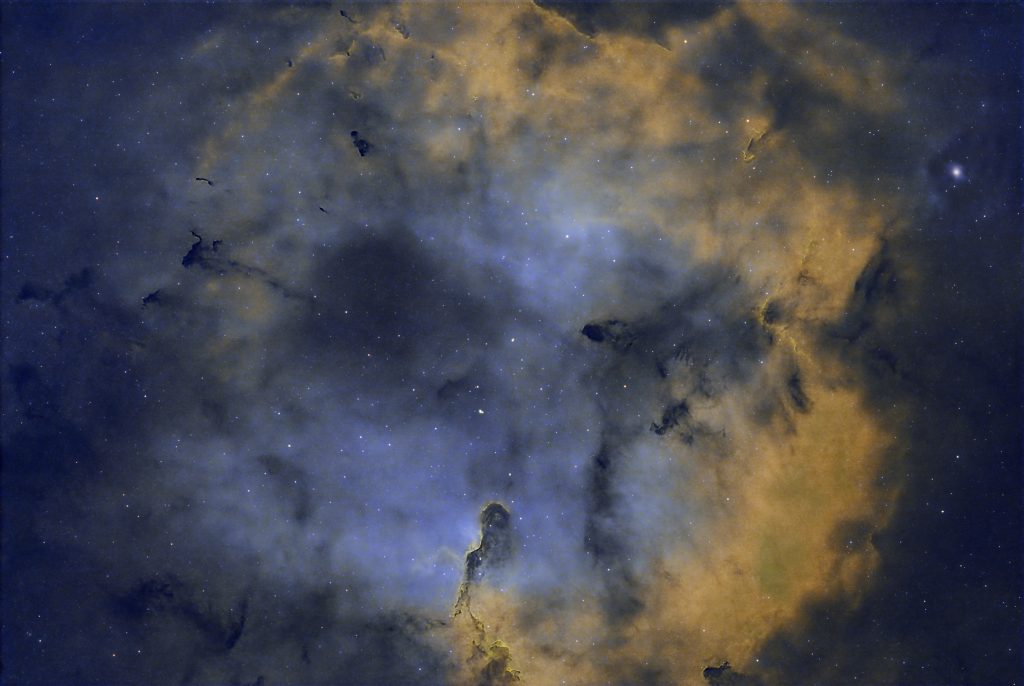 Elephants Trunk Nebula
