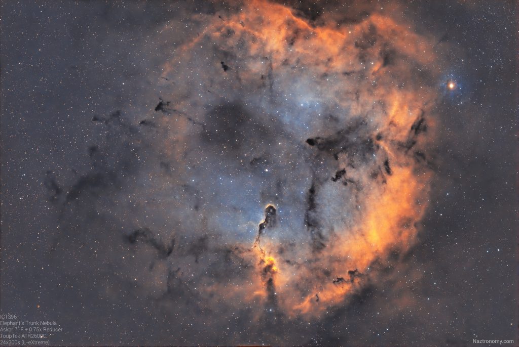 Elephants Trunk Nebula Sep 15, 2024
