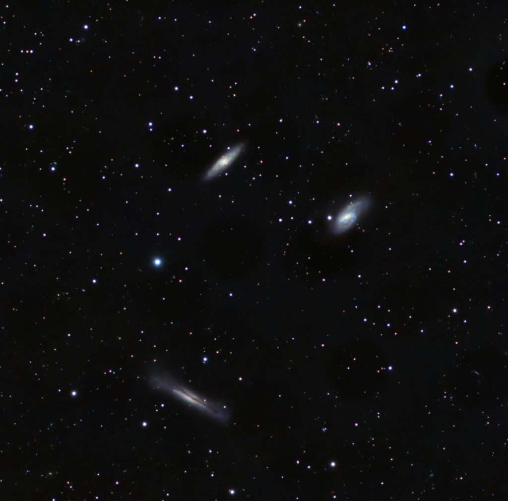 Leo Triplet June 1, 2024