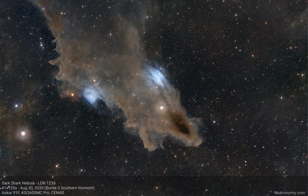 The Shark of Cepheus