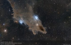 The Shark of Cepheus