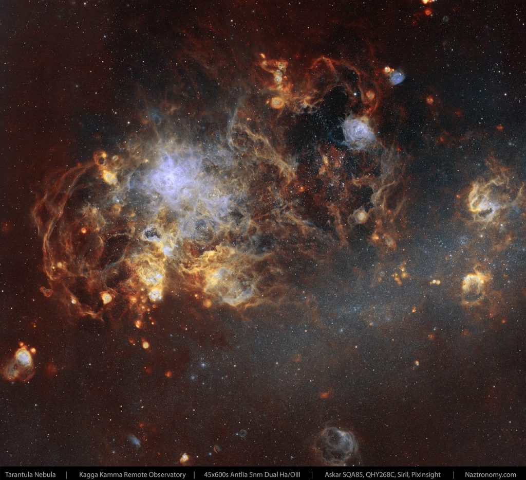 Golden Tarantula Perched on the Large Magellanic Cloud